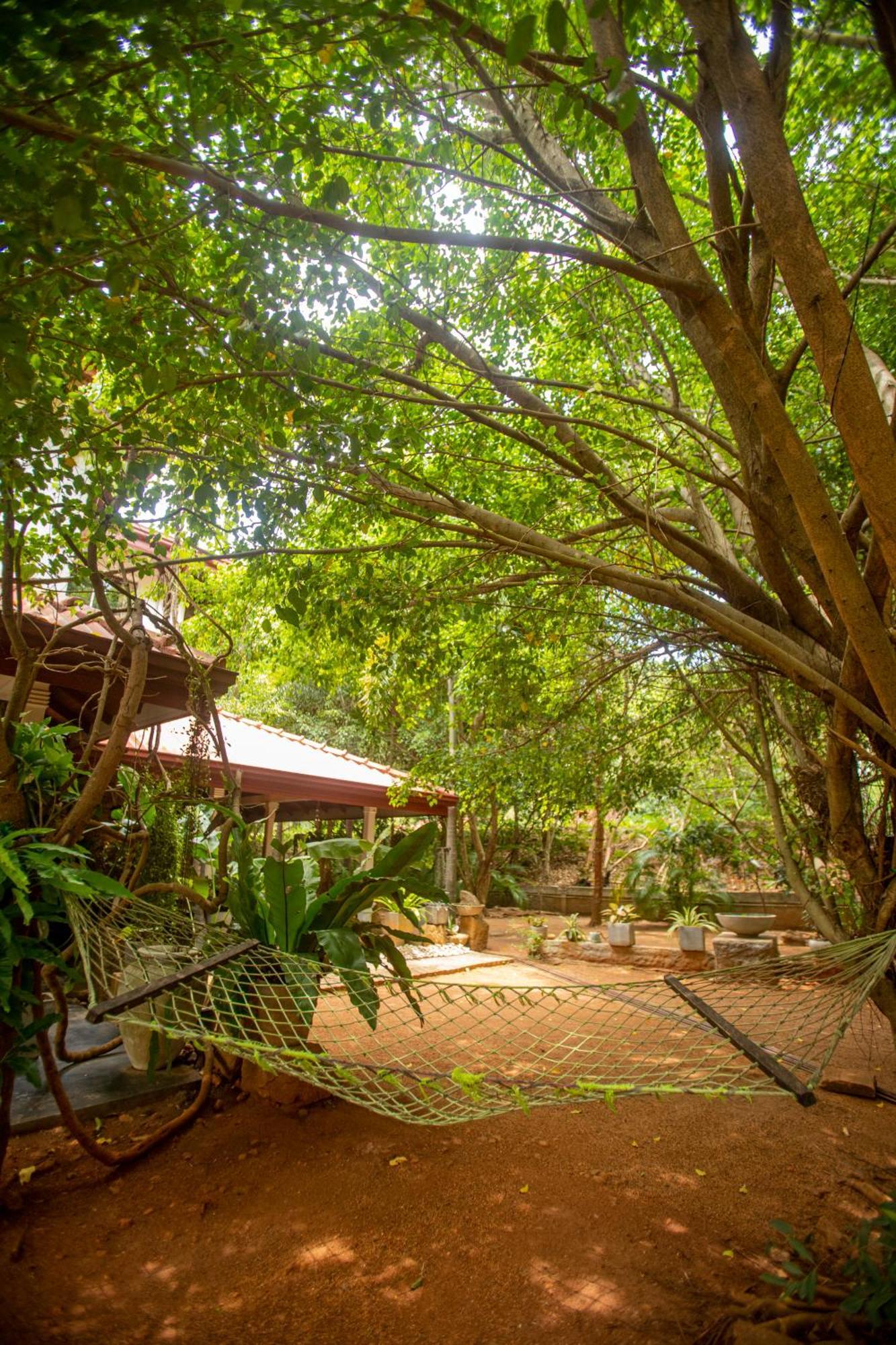 Evergreen Hotel Dambulla Bagian luar foto